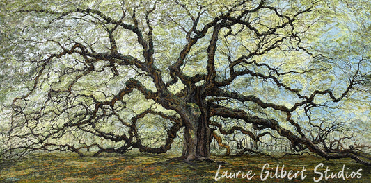 Oak Tree of Patience