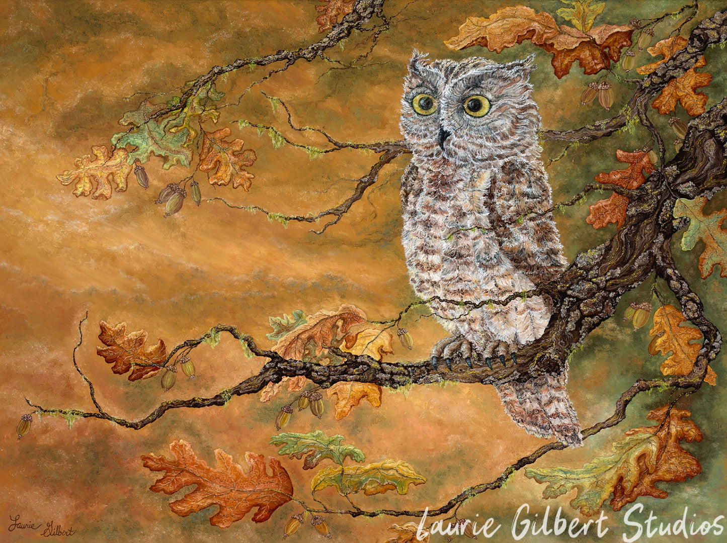 Perky Owl