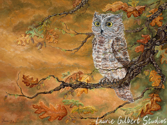Perky Owl