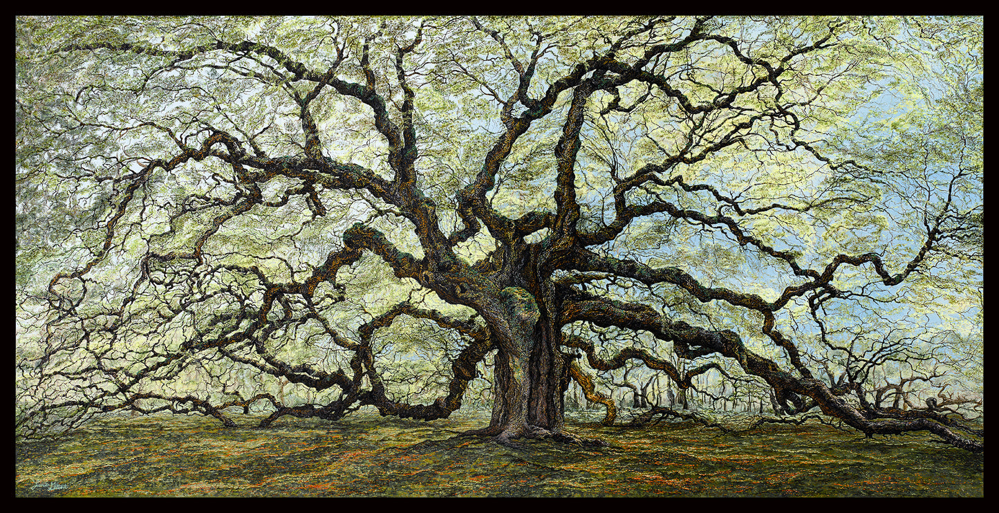 Oak Tree of Patience