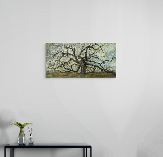 Oak Tree of Patience